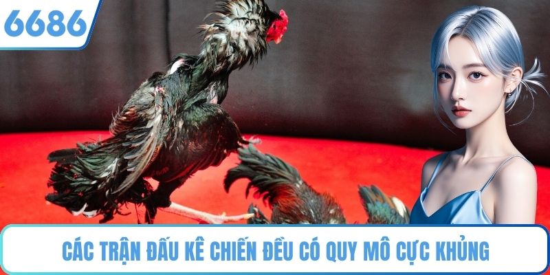 Các trận đấu kê chiến đều có quy mô cực khủng