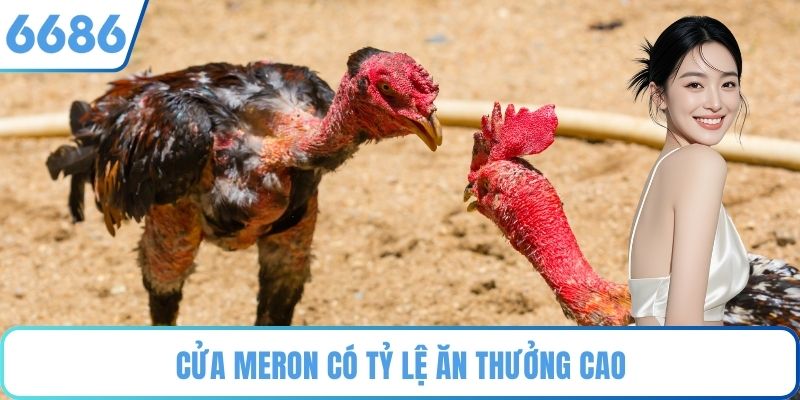 Cửa Meron có tỷ lệ ăn thưởng cao