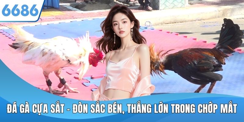 Đá Gà Cựa Sắt