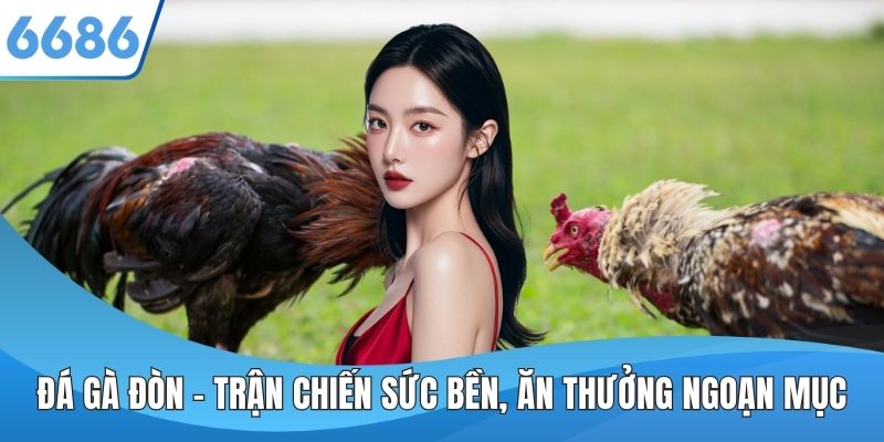 Đá Gà Đòn