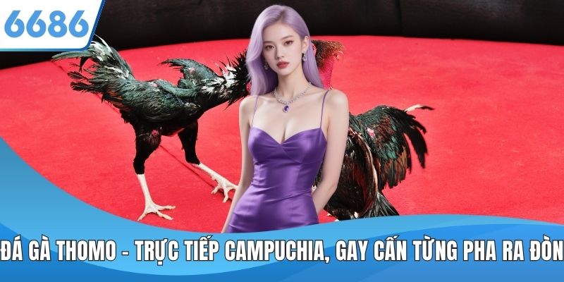 Đá Gà Thomo