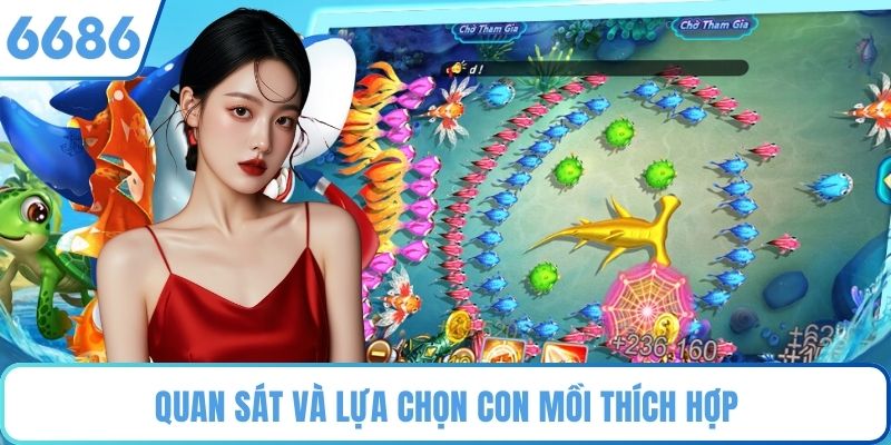 Quan sát và lựa chọn con mồi thích hợp