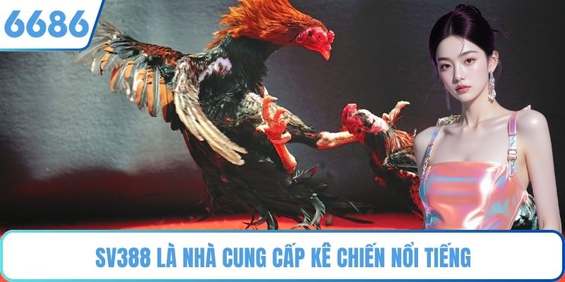 SV388 là nhà cung cấp kê chiến nổi tiếng